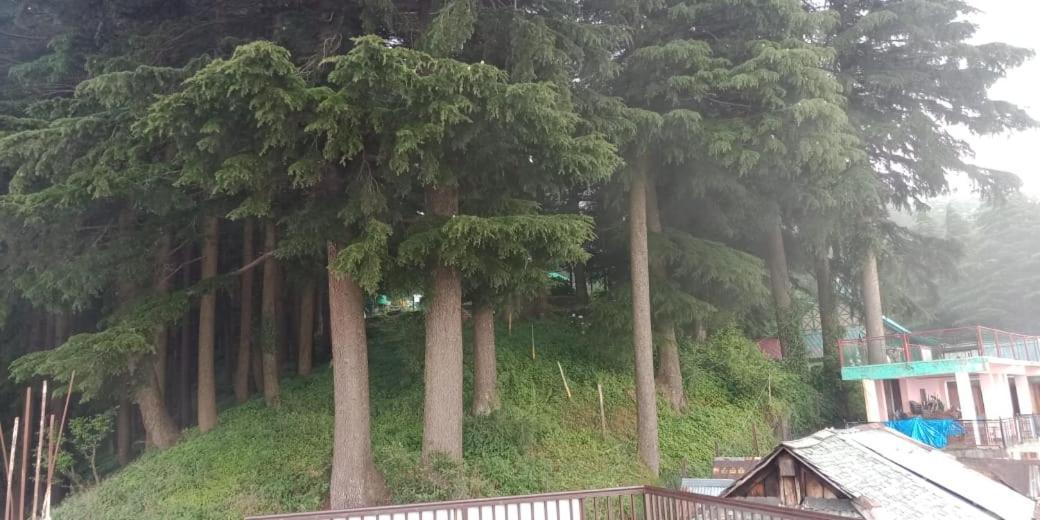 Hotel Forest View Lāhri エクステリア 写真