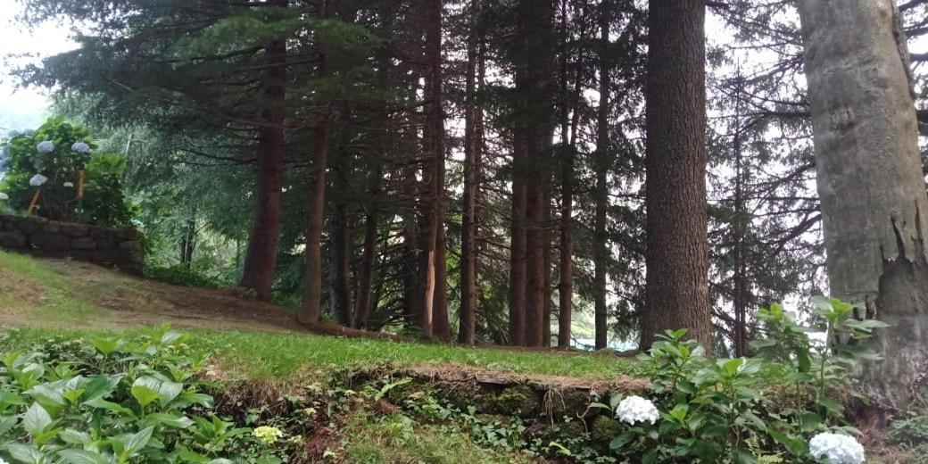 Hotel Forest View Lāhri エクステリア 写真